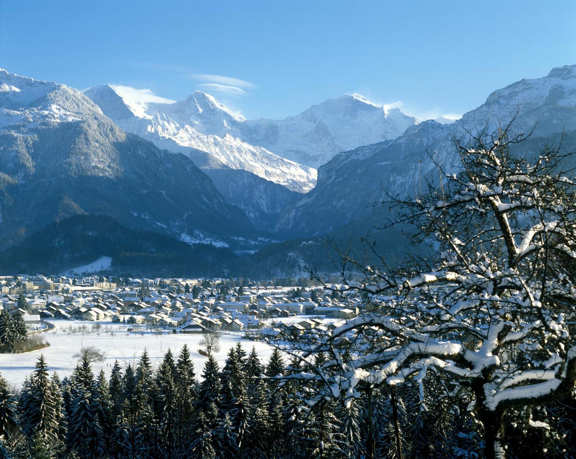Jungfrau Hotel Вилдерсвил Екстериор снимка