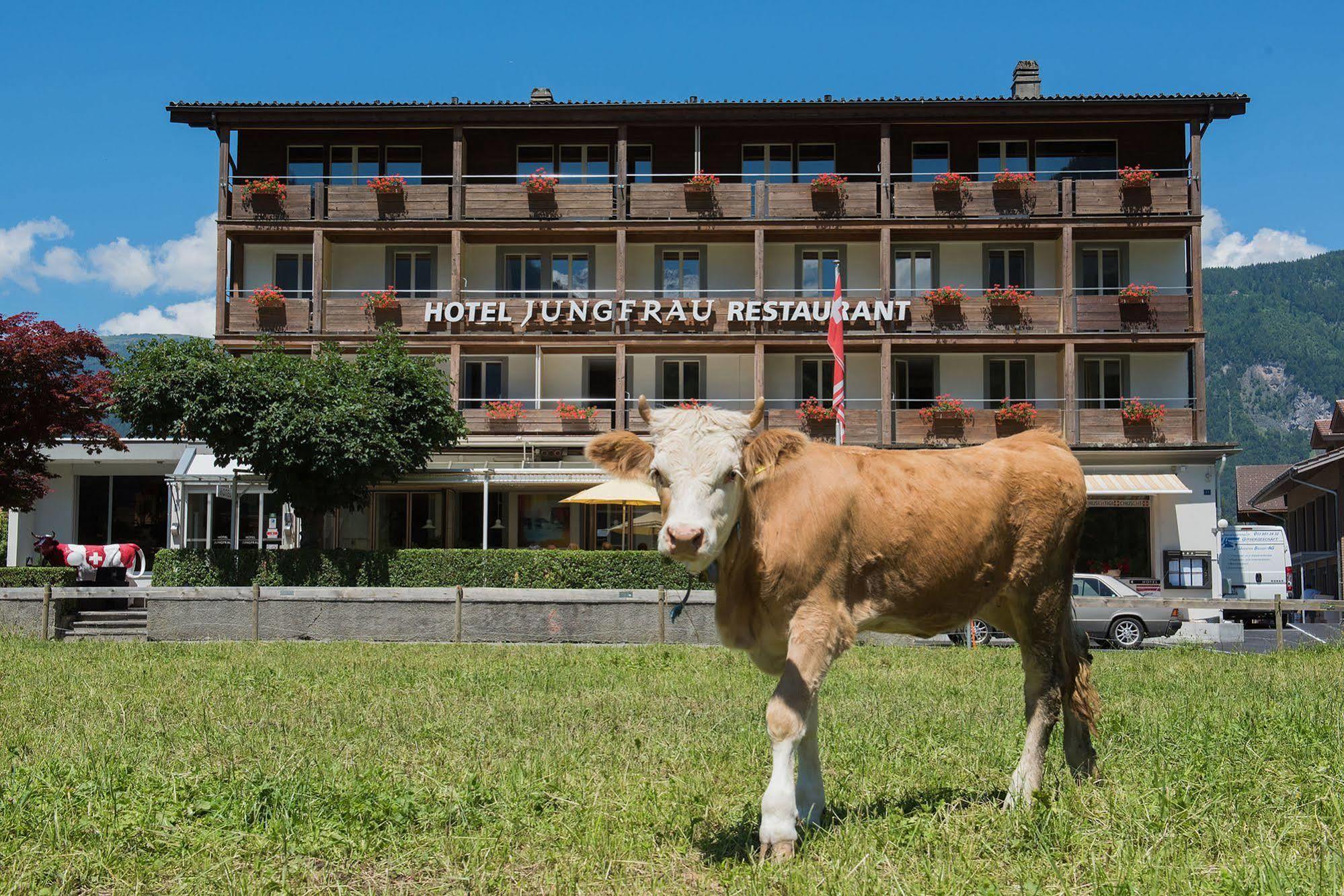 Jungfrau Hotel Вилдерсвил Екстериор снимка